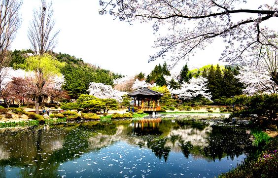 Best Places In South Korea Which Are The Charm Basket Of The World And A Sweet Heart Of Travel