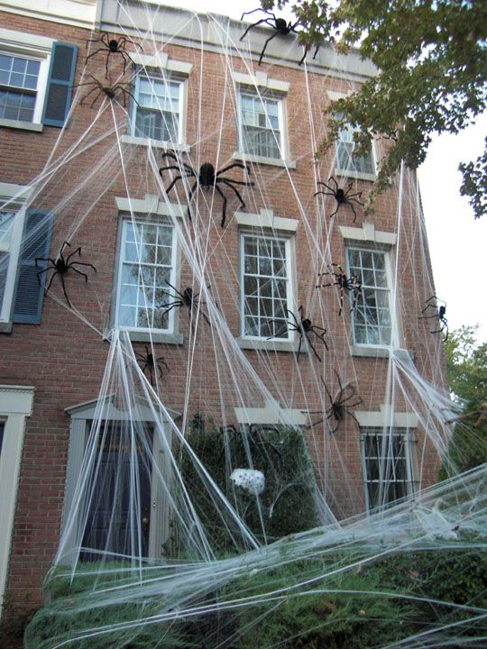 large outdoor spider web decoration