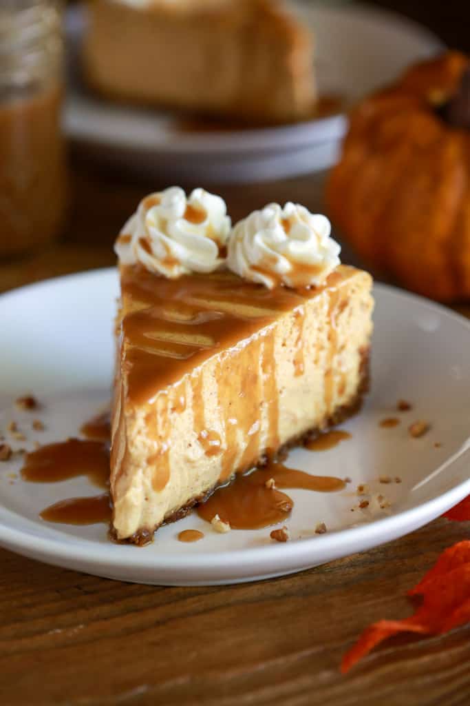 Pumpkin Cheesecake Recipes