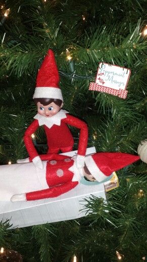 100+ Elf on the Shelf Ideas for Kids With Messages Which Kids Are Gonna ...