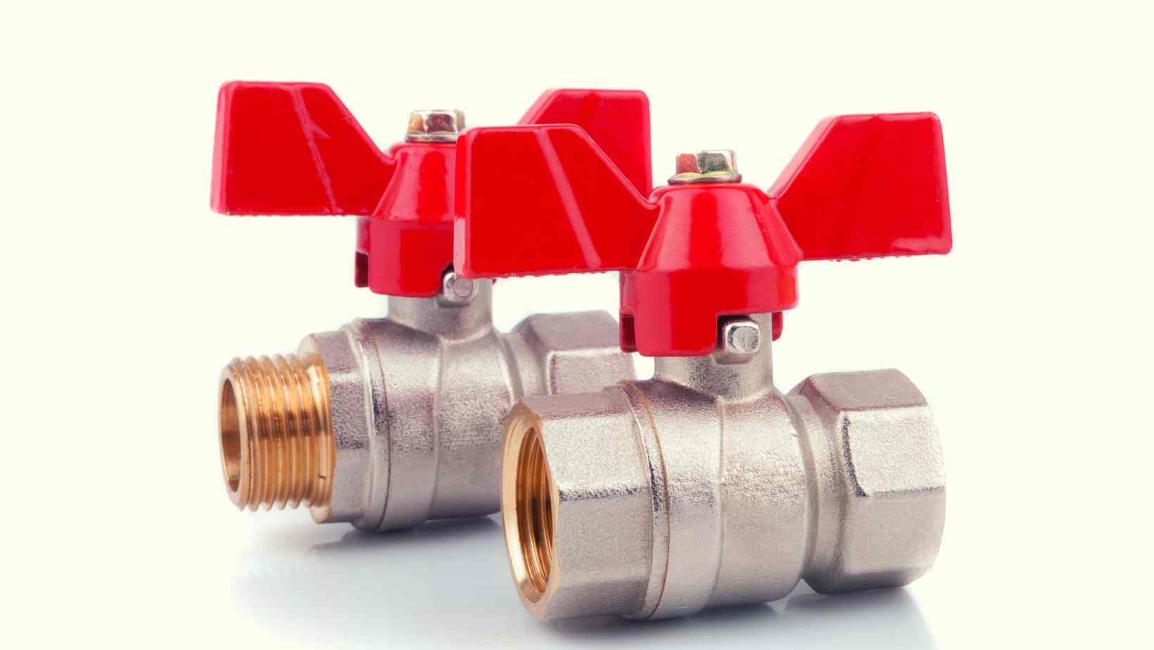 What Is a 2 Ball Valve