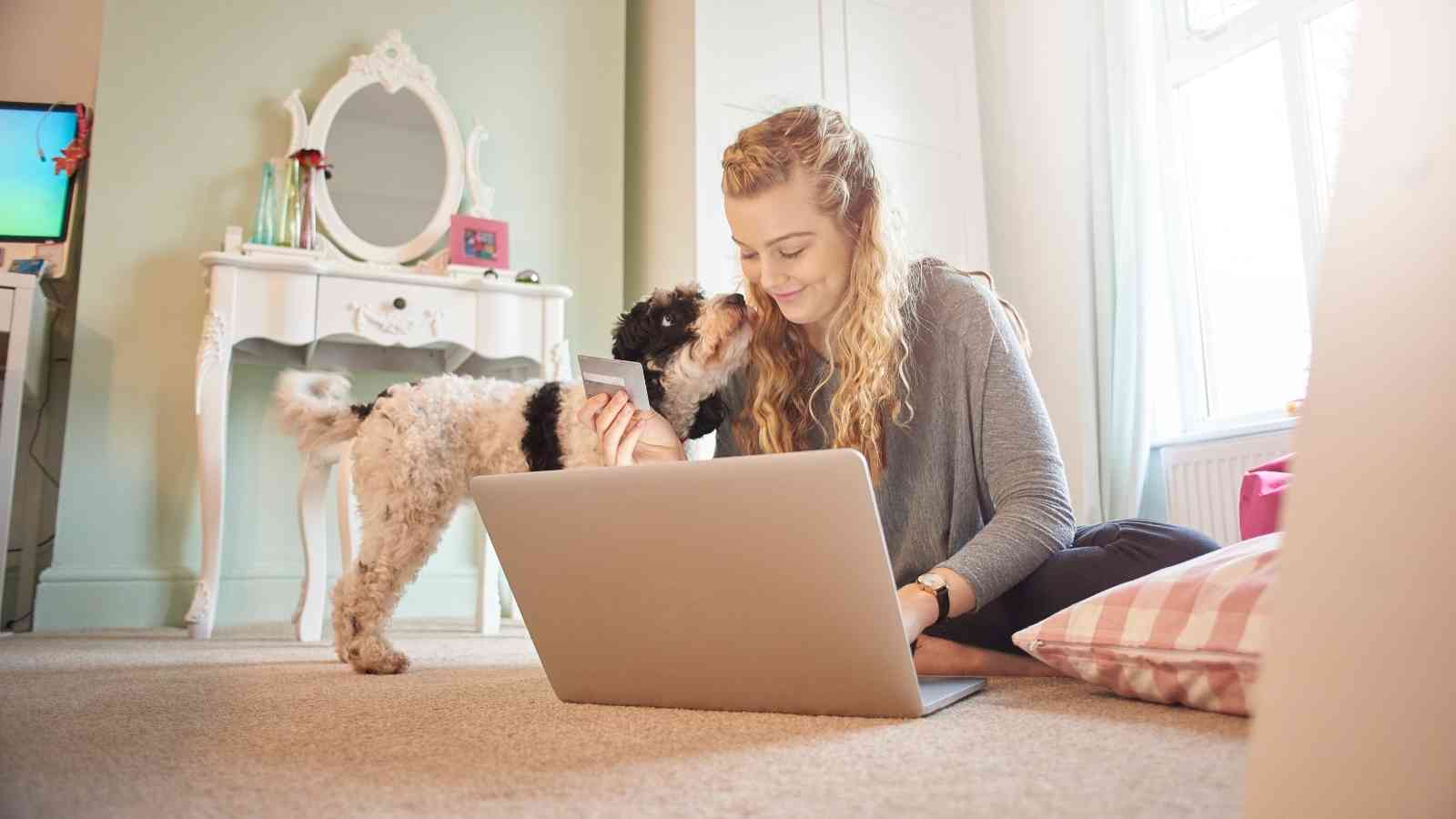 Choose the Right Pet Insurance Plan