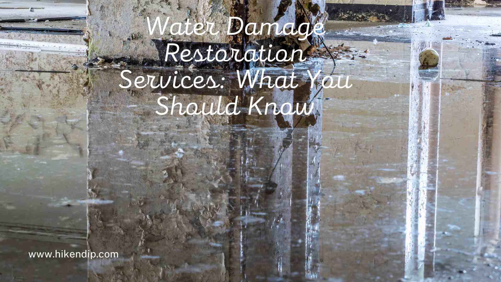 Water Damage Restoration Services: What You Should Know