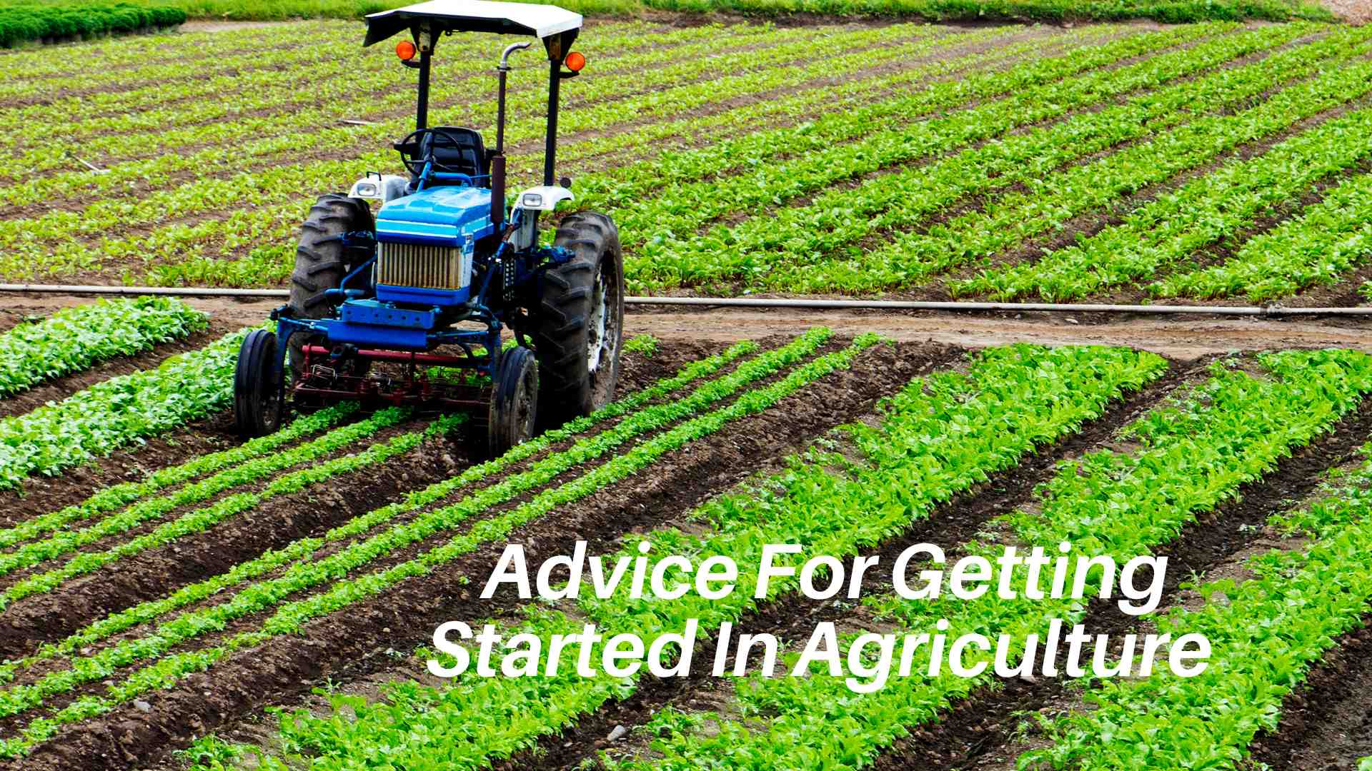 Advice For Getting Started In Agriculture 