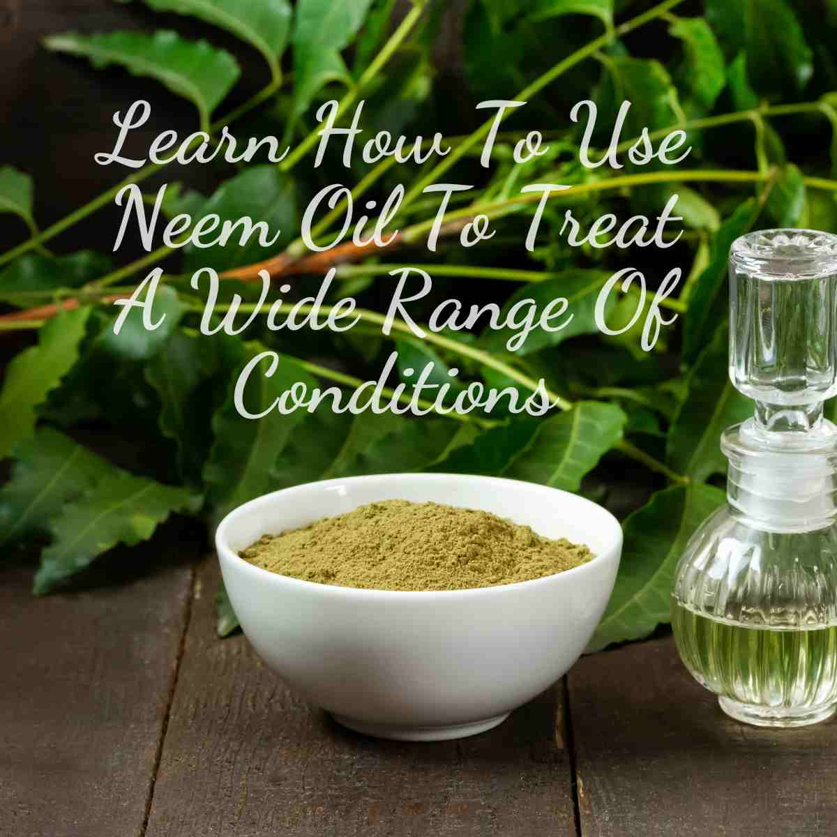 Learn How To Use Neem Oil To Treat A Wide Range Of Conditions