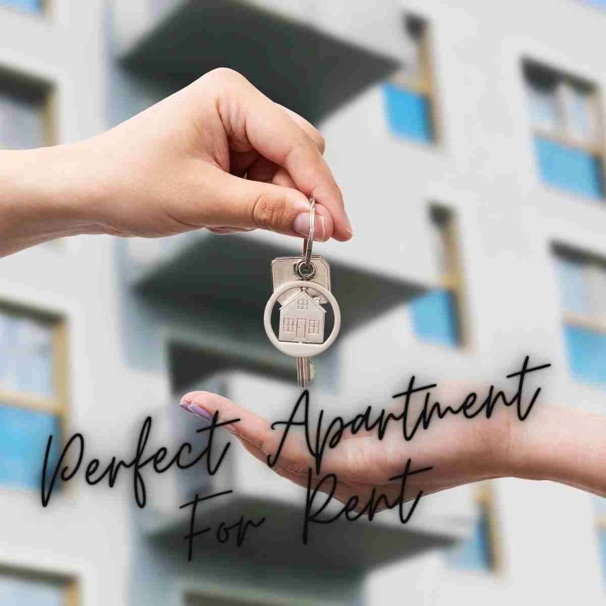 A Guide To Choosing The Perfect Apartment For Rent