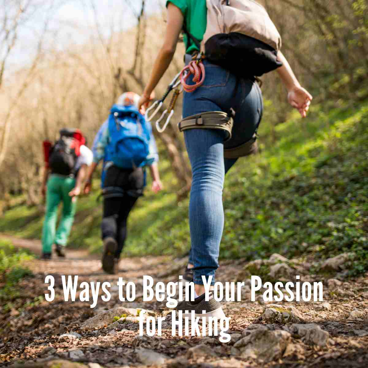 Ways to Begin Your Passion for Hiking