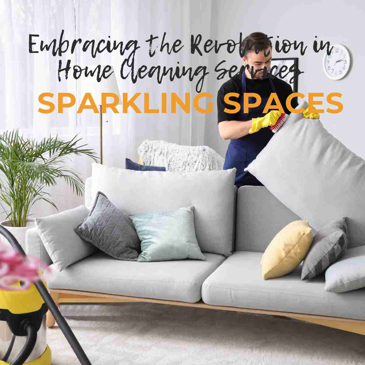 Revolution in Home Cleaning