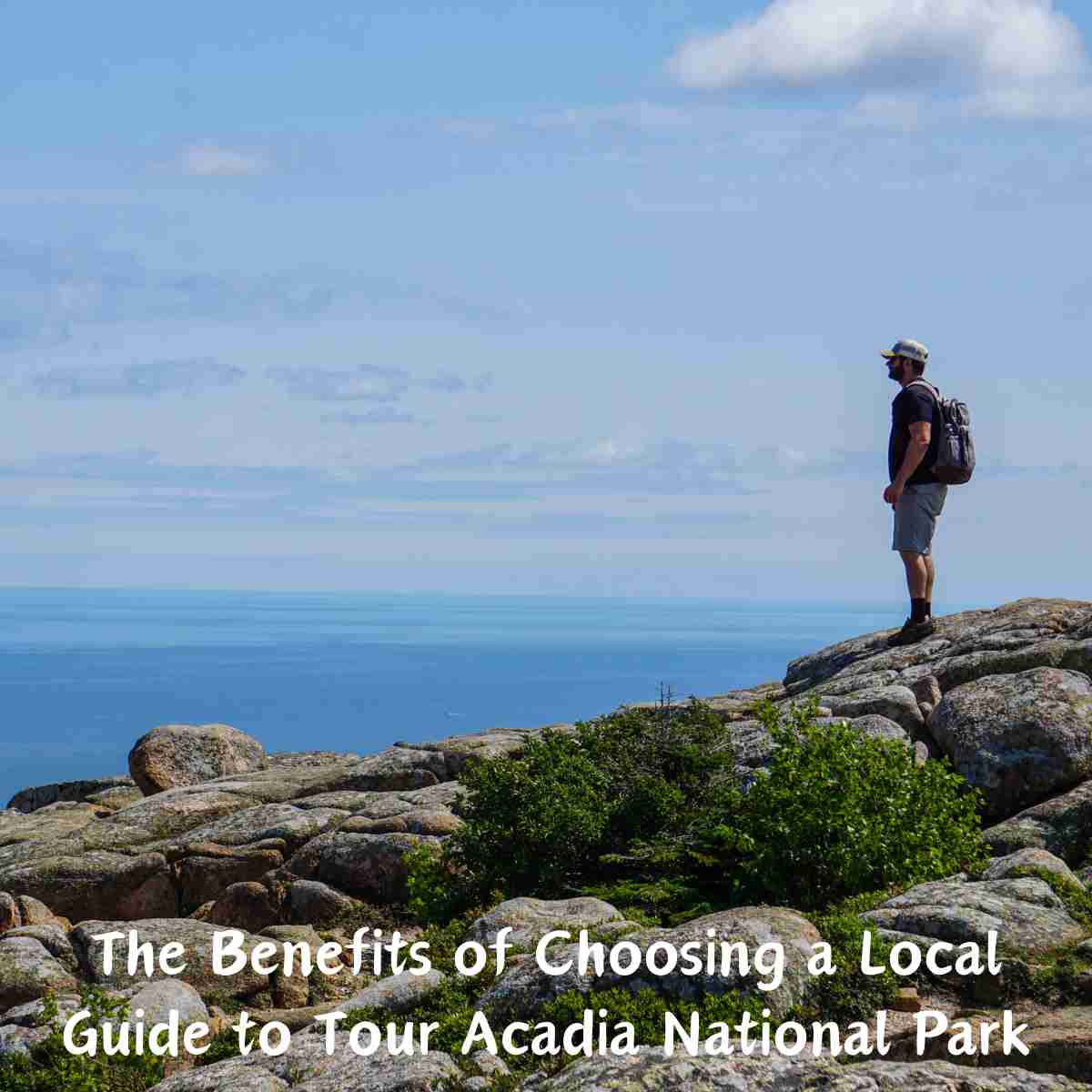 Tour Acadia National Park