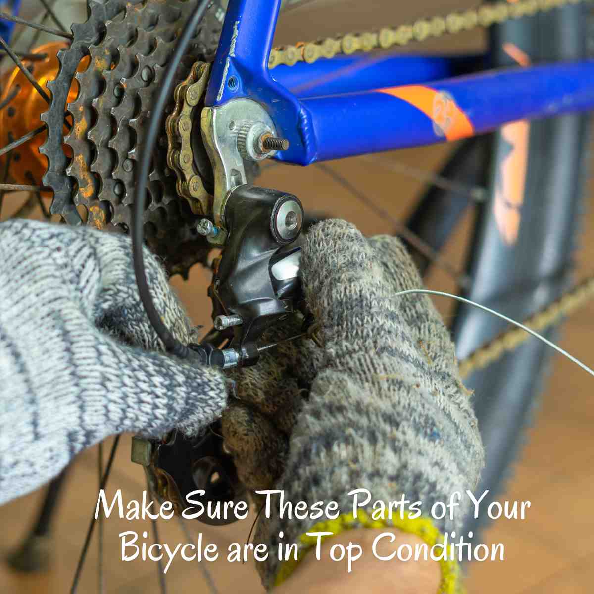 Parts of Your Bicycle